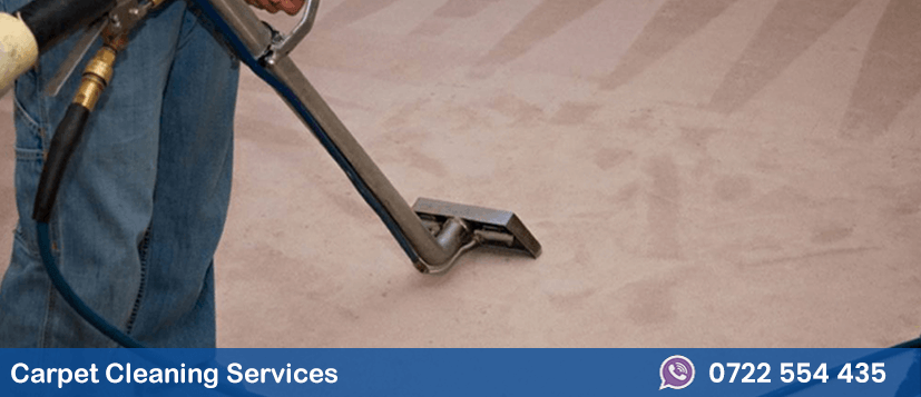 Top 5 Tips for Wall to Wall Carpet Cleaning