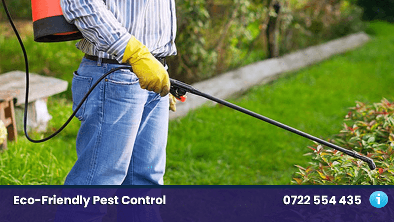 Pest Control Service